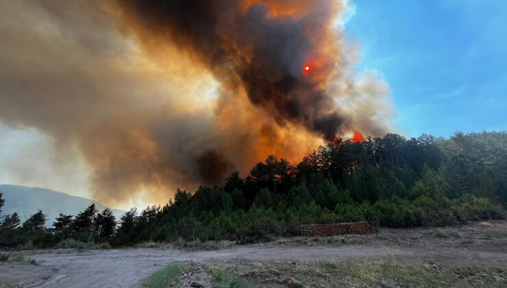 Balıkesir’de orman yangını