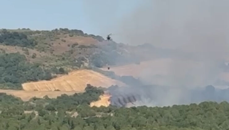 Balıkesir’de orman yangınına havadan müdahale sürüyor