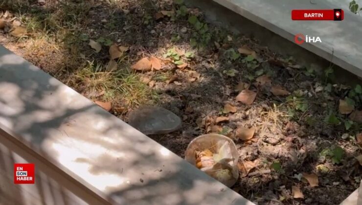 Bartın’da mezarda bal mumundan yapılmış bebek ve bebeğe sarılı muska bulundu