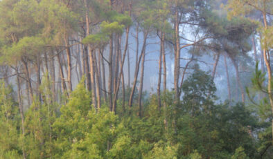 Bayırbucak’taki Türkmen köylerinde orman yangınları sürüyor