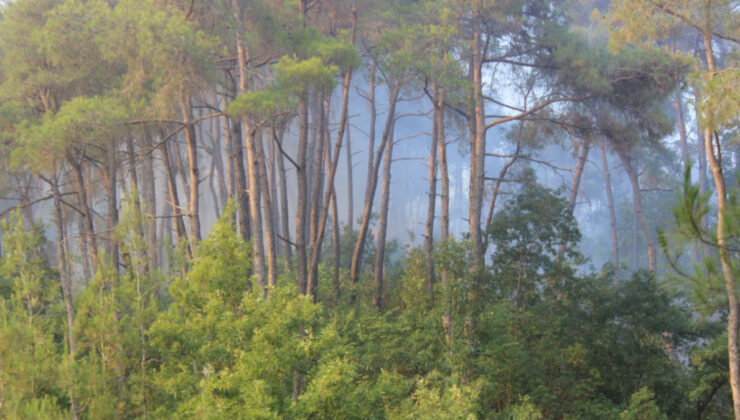 Bayırbucak’taki Türkmen köylerinde orman yangınları sürüyor