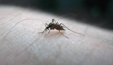 Bebekler için geliştirilen birinci sıtma ilacına İsviçre’den onay