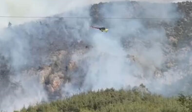 Bilecik’te bir öbür orman yangını daha başladı