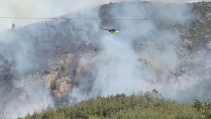 Bilecik’te bir öbür orman yangını daha başladı