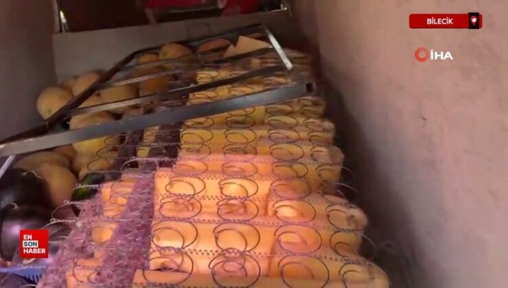 Bilecik’te zabıta etrafa hurda ve mobilya eşyası atan kişiyi suçüstü yakaladı