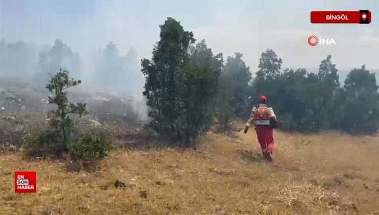 Bingöl’deki orman yangını denetim altına alındı