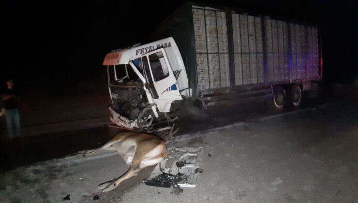 Bolu’da hafif ticari araç evvel geyiğe sonra kamyona çarptı: 1 meyyit