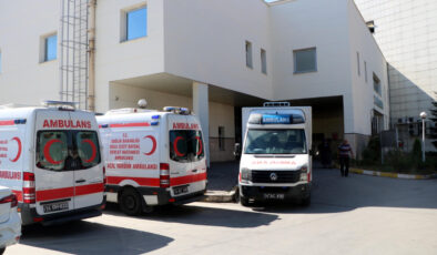 Bolu’da tavuk tesisinde korkutan olay