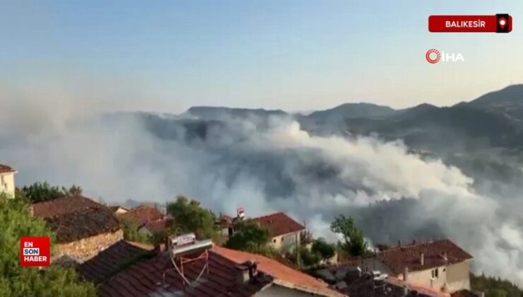 Bursa-Balıkesir hududunda orman yangını