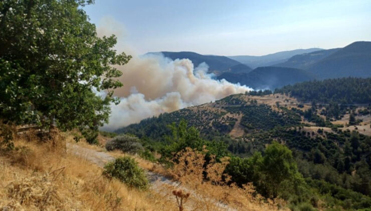 Bursa-Balıkesir hududunda orman yangını: Bir köy boşaltıldı