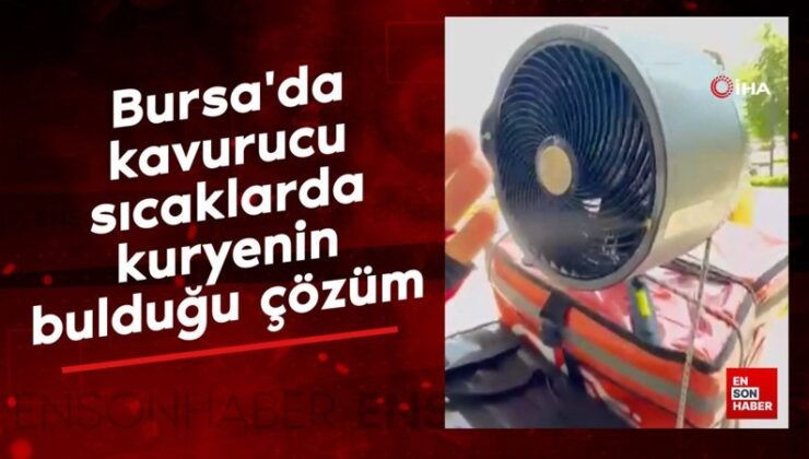 Bursa’da kavurucu sıcaklarda, kuryenin bulduğu tahlil