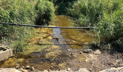Bursa’da kuraklık tehlikesi: Çakırca deresi kurudu, gölün çekildiği görüldü