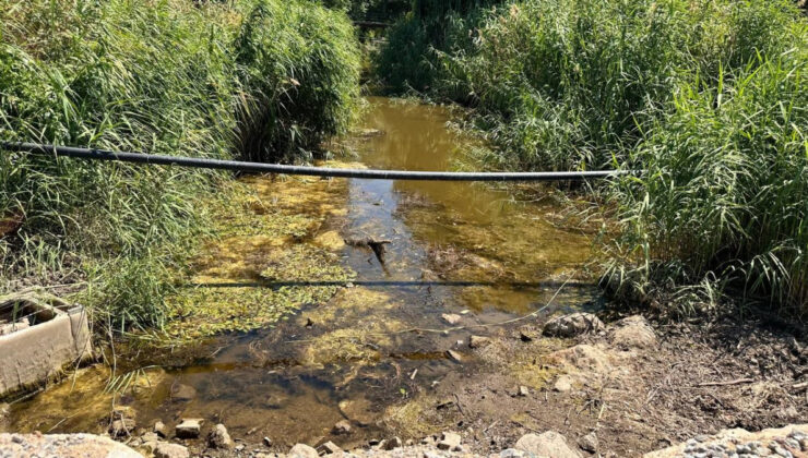 Bursa’da kuraklık tehlikesi: Çakırca deresi kurudu, gölün çekildiği görüldü