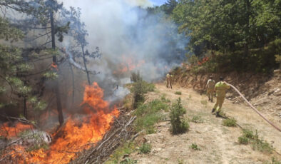Bursa’da orman yangınına neden olan bir kişi tutuklandı