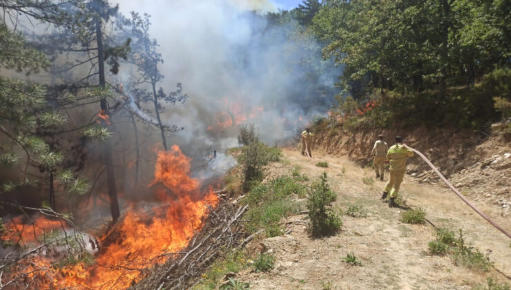 Bursa’da orman yangınına neden olan bir kişi tutuklandı