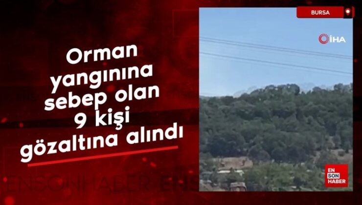Bursa’da orman yangınına sebep olan 9 kişi gözaltına alındı, bir kişi tutuklandı