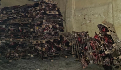 Bursa’da sıhhatsiz et deposu ortaya çıktı