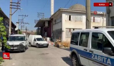 Bursa’da sıhhatsiz kaidelerde istiflenmiş çok sayıda hayvan başı bulundu