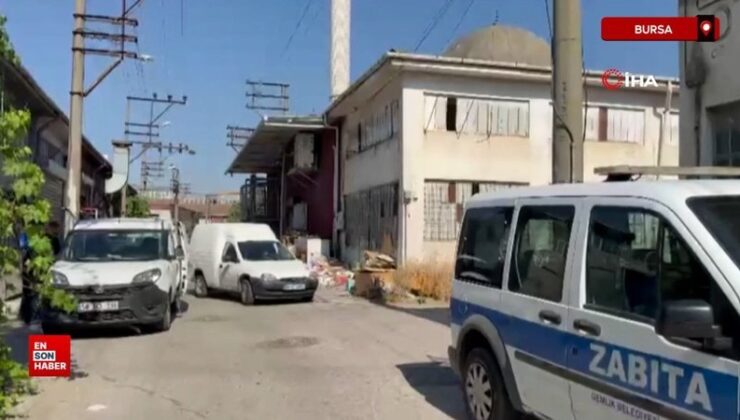 Bursa’da sıhhatsiz kaidelerde istiflenmiş çok sayıda hayvan başı bulundu