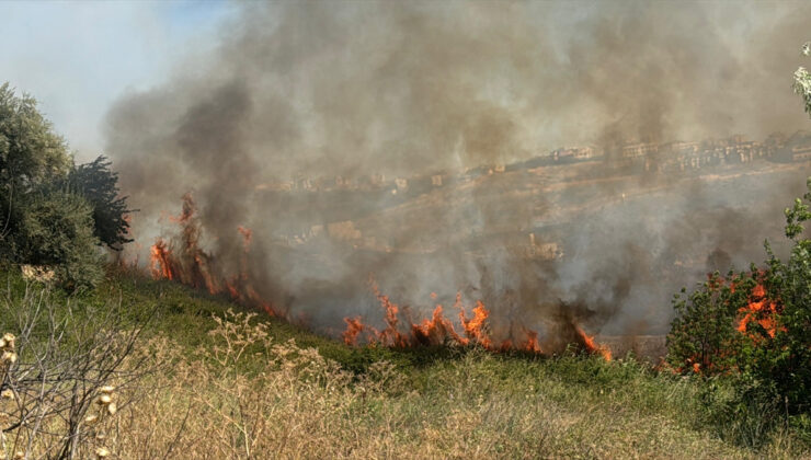 Büyükçekmece’de otluk alanda yangın