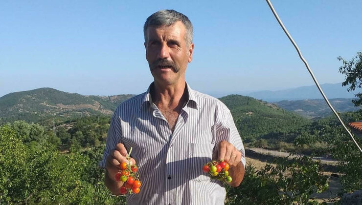 Çanakkale’de girdiği derede kaybolan eski muhtardan acı haber