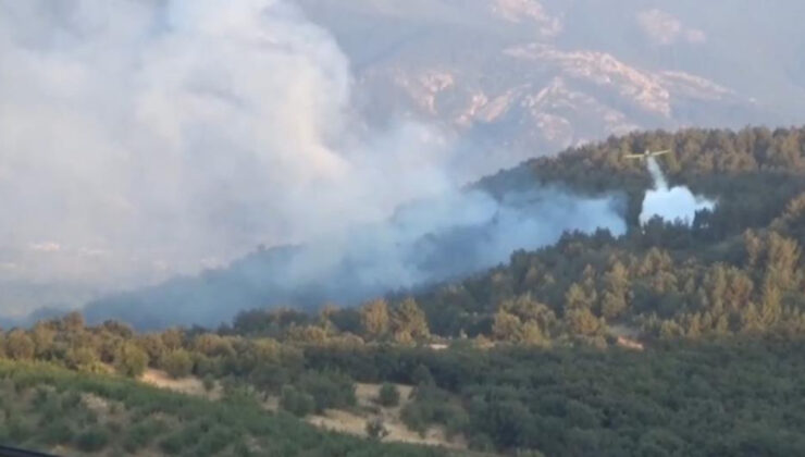 Çanakkale’de orman yangını