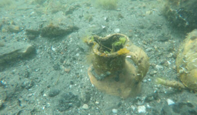 Çanakkale’de Osmanlı’ya ilişkin çok sayıda kalıntı bulundu