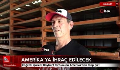 Coğrafik işaretli Bayburt tarhununa Amerika’dan talip çıktı