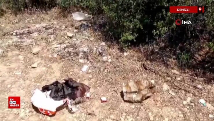 Denizli’de aranan şahıs hayvanların derisinden elbise yapıp ormanda saklandı