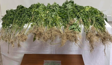 Denizli’de uyuşturucu operasyonu: 1 kuşkulu tutuklandı