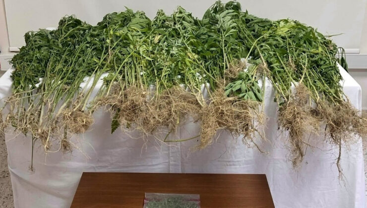 Denizli’de uyuşturucu operasyonu: 1 kuşkulu tutuklandı