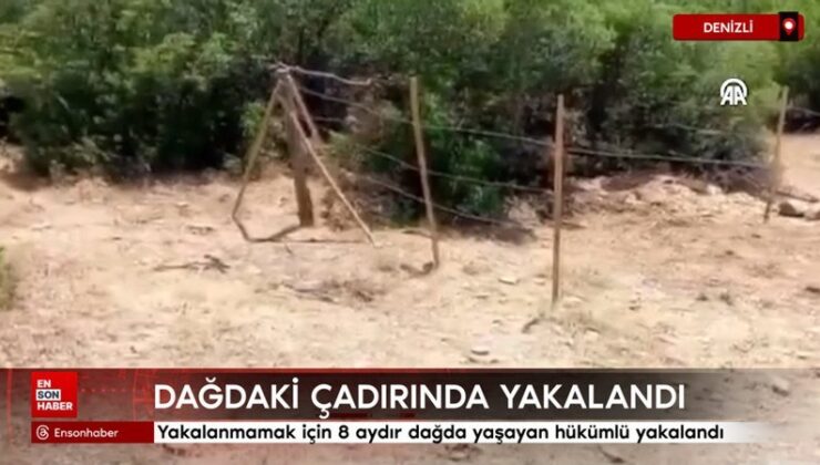 Denizli’de yakalanmamak için dağda yaşayan hükümlü çadırında yakalandı