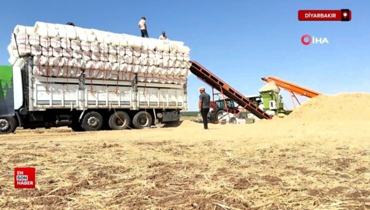 Diyarbakır’da 45 derece hissedilen sıcak havada saman yüklüyorlar