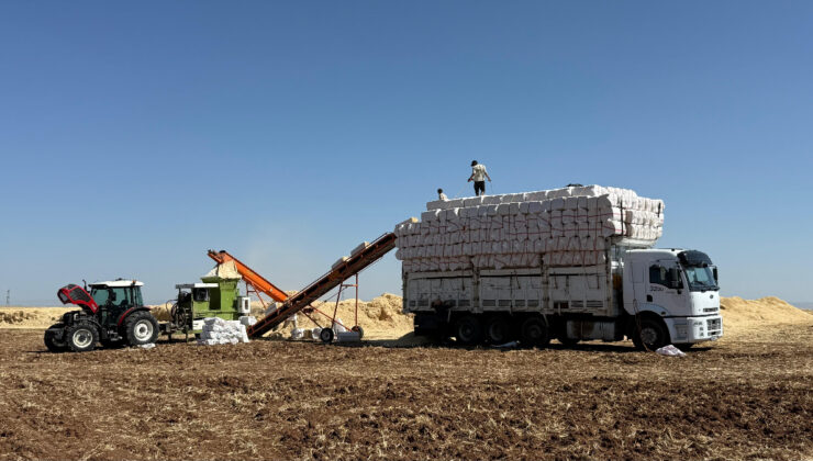 Diyarbakır’da 45 derece sıcaklıkta hububat hasadı