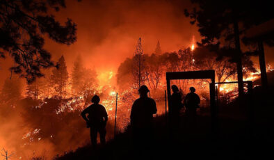 DMM, orman yangınlarının elektrik kaynaklı olduğu argümanını yalanladı