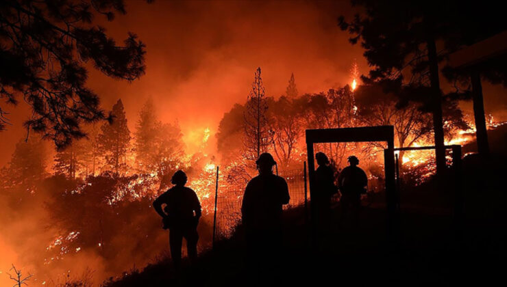 DMM, orman yangınlarının elektrik kaynaklı olduğu argümanını yalanladı