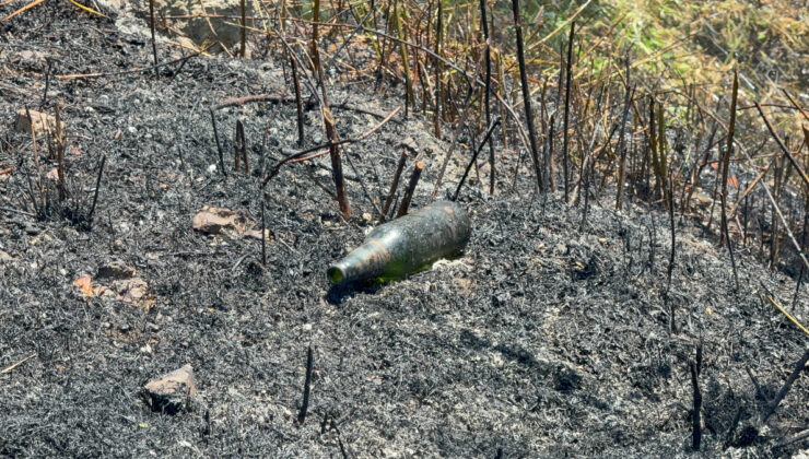 Düzce’de yol kenarına atılan şişe anız yangınına neden oldu