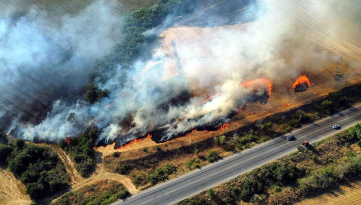 Edirne’de anız yangını denetim altında