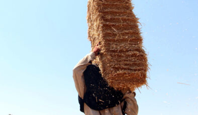 Edirne’de kavurucu sıcakta balya mesaisi