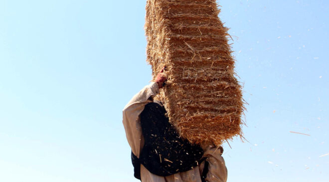 Edirne’de kavurucu sıcakta balya mesaisi