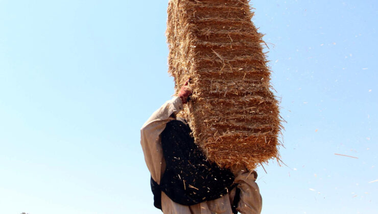 Edirne’de kavurucu sıcakta balya mesaisi