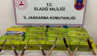 Elazığ’da operasyon: Gümrük kaçağı eserler ele geçirildi