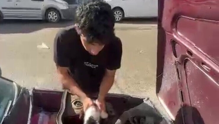 Erzurum’da yavru kedi arabanın motor kısmında sıkıştı