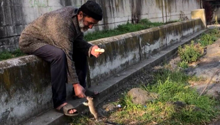 Farelerle olan dostluğuyla biliniyordu: Otobüs durağında meyyit bulundu