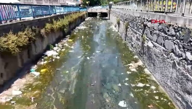 Galata Deresi çöple doldu, mahalleli reaksiyon gösterdi