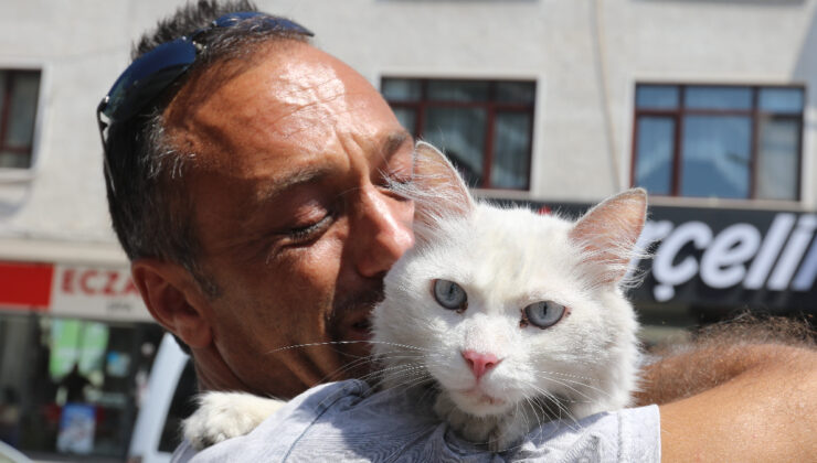 Günlerdir aradığı kedisi bulununca sevinç gözyaşlarına boğuldu