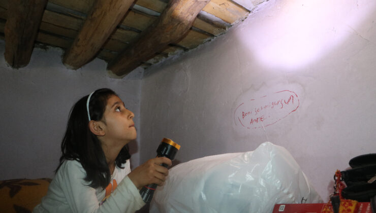 Hakkari’de tek katlı konutta yılan paniği