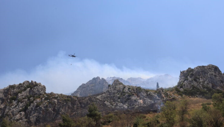 Hatay’da orman yangını