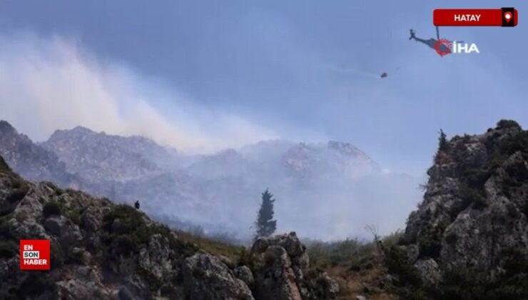 Hatay’da orman yangını çıktı