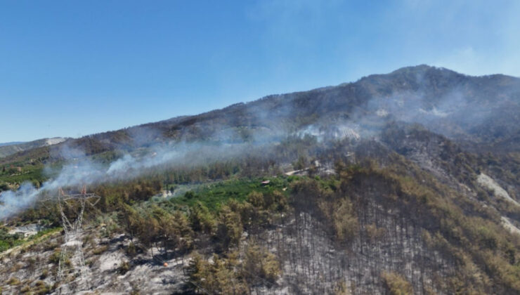 Havadan görüntülendi: Hatay’da yangının bıraktığı hasar